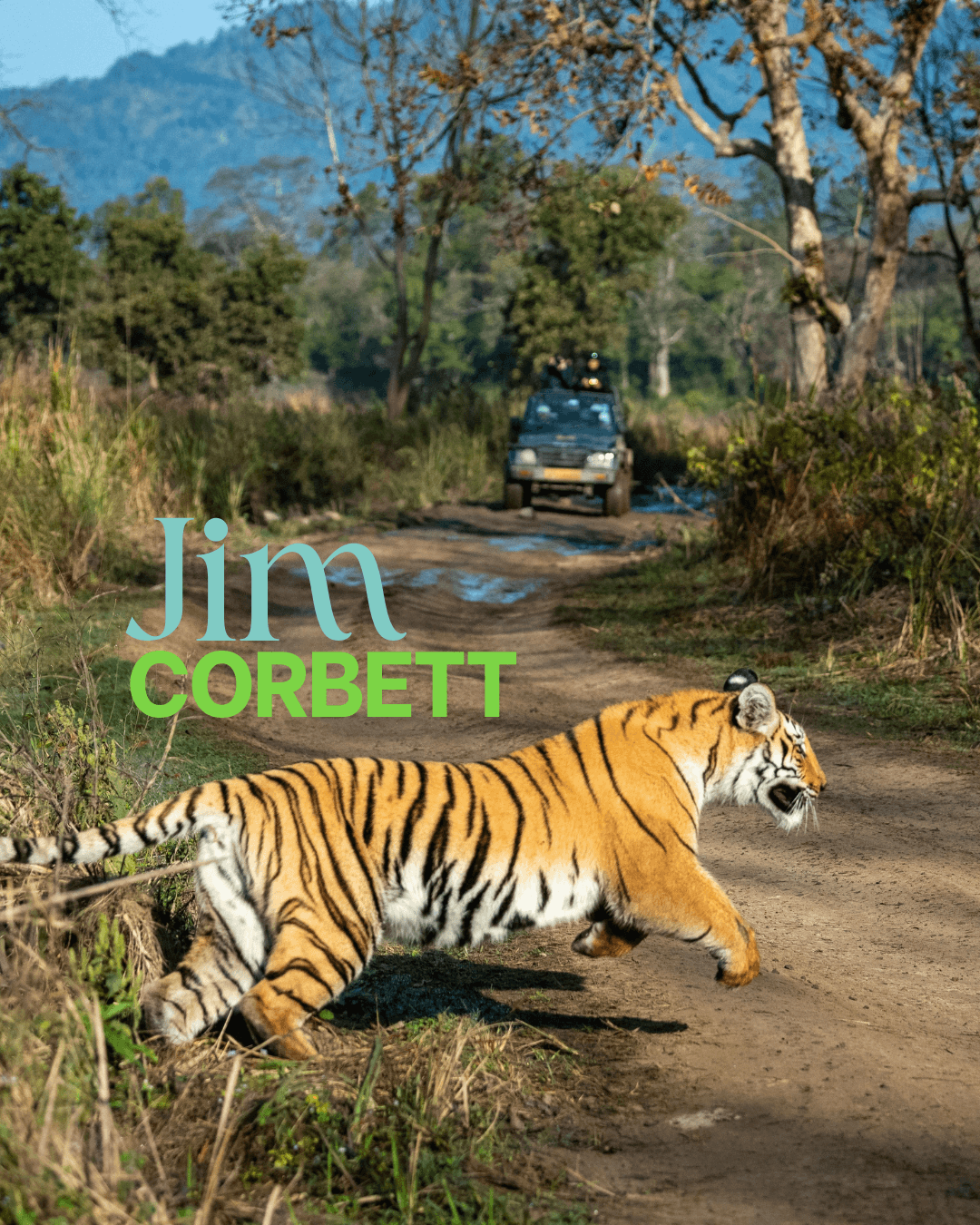 Jim Corbett